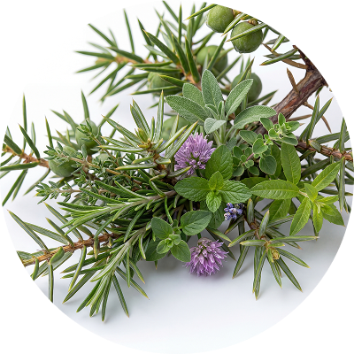 Juniper berries