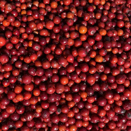 Juniper berries