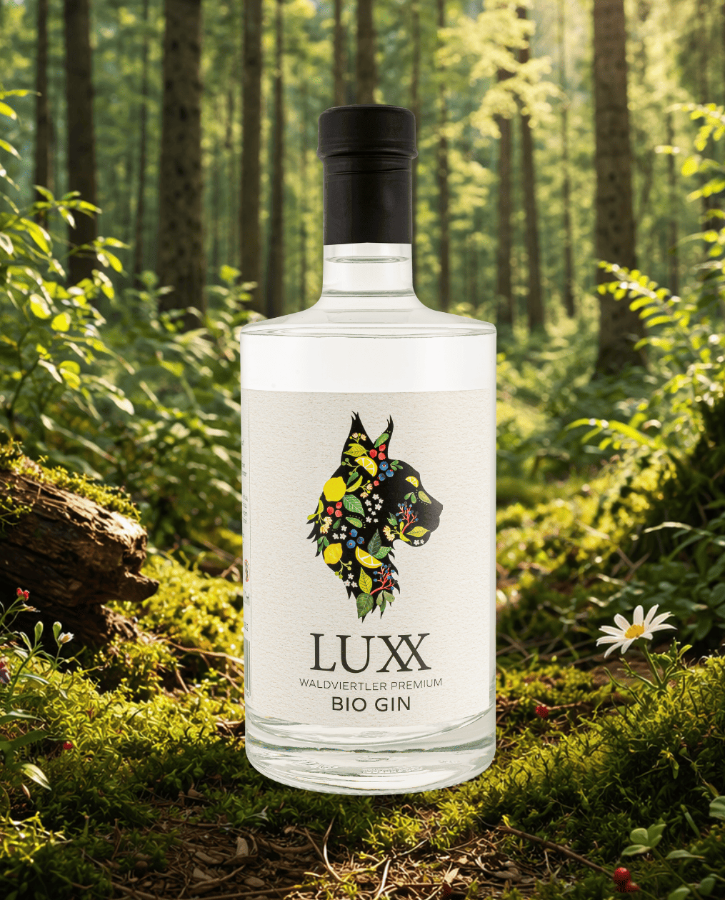 LUXX