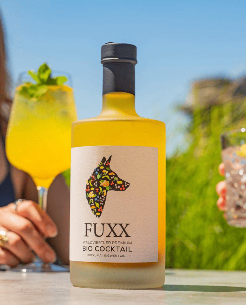 FuXX Gin Cocktail eingeschenkt – sommerlicher Aperitif