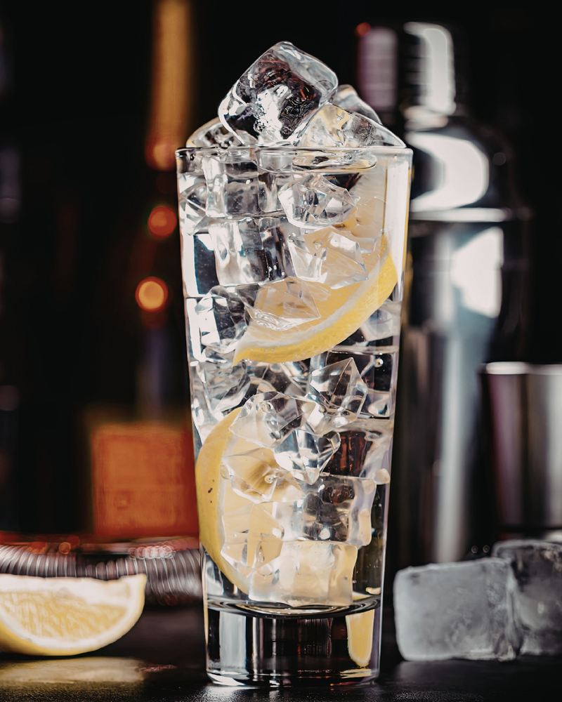 Gin Fizz mit WOiF Bio Dry Gin – spritziger Klassiker mit Zitrone